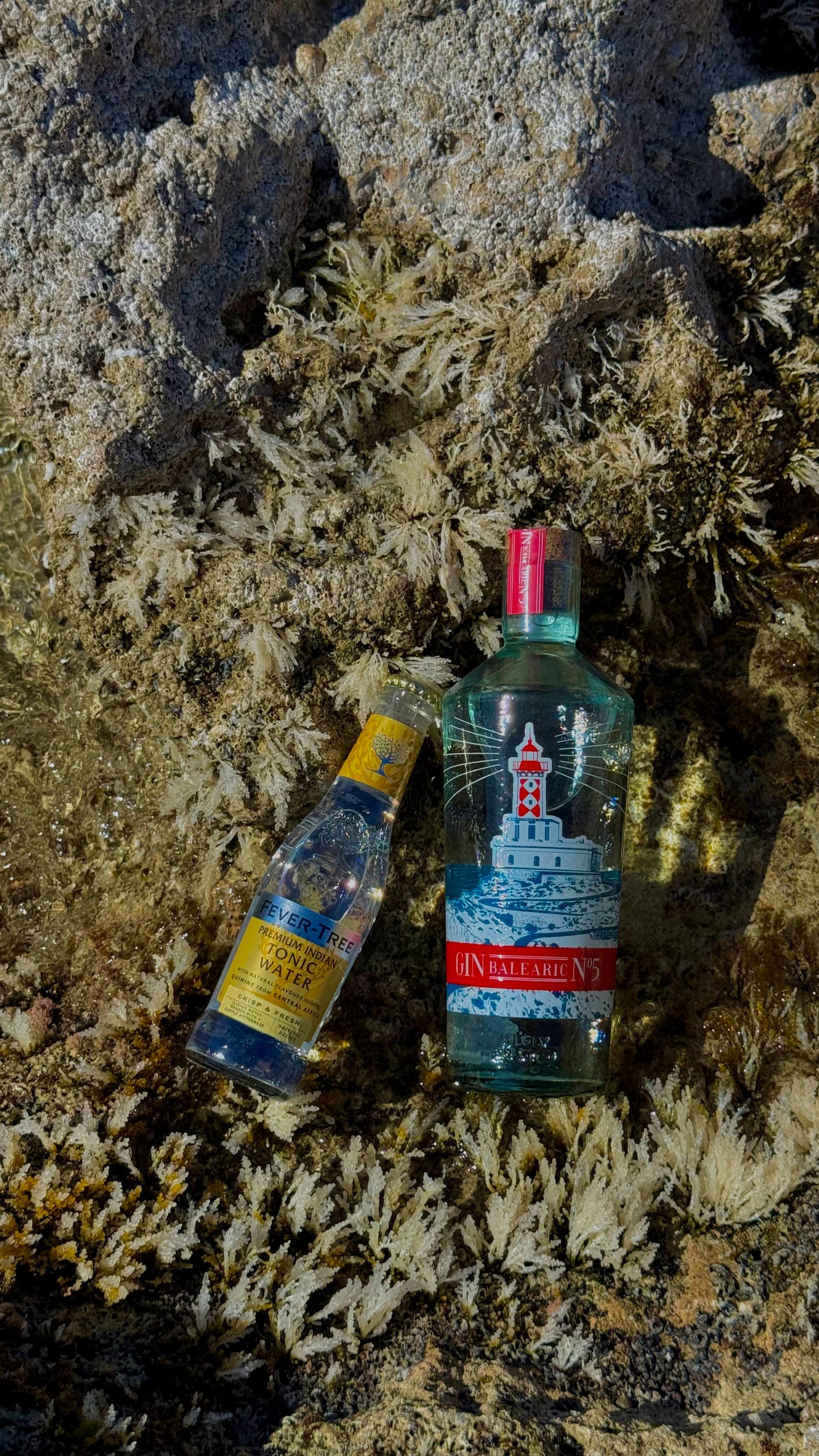 Fever Tree Tonic Water 24 x 0,2 l Flasche