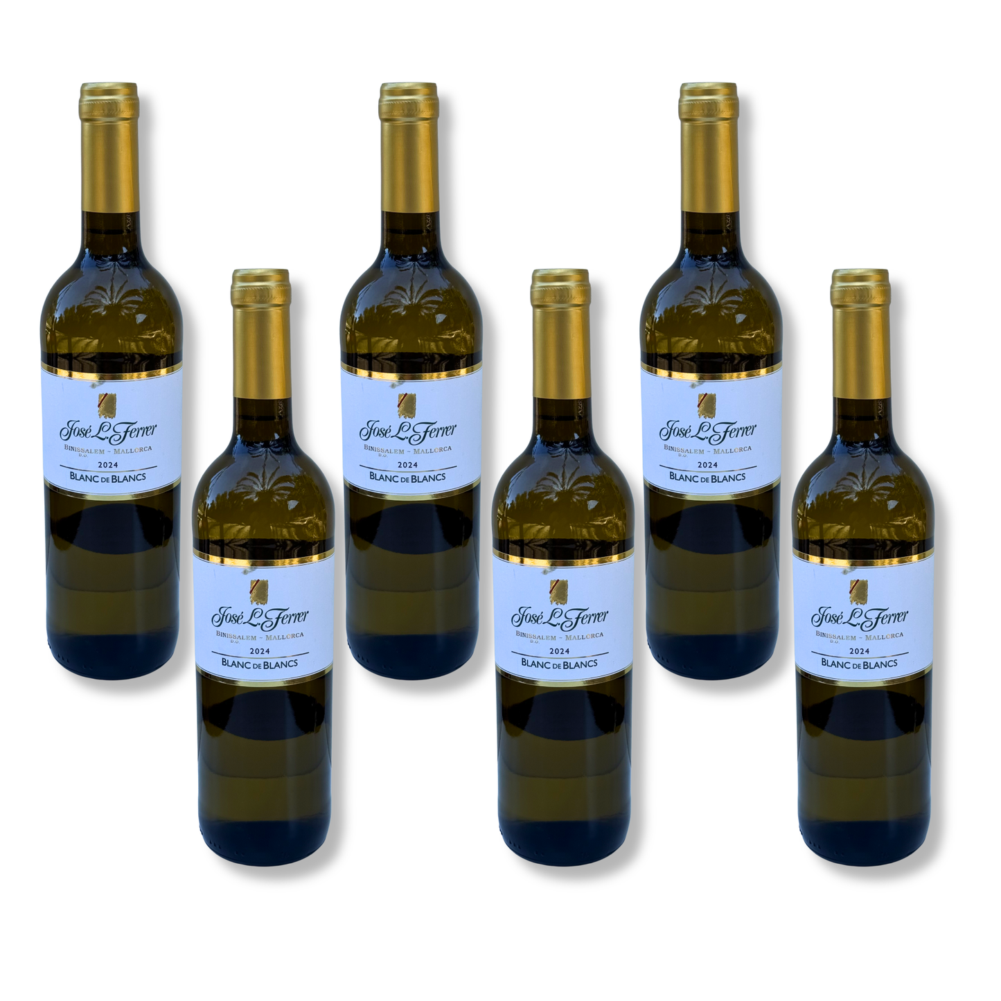 José L. Ferrer Blanc de Blancs 2024 - 6er Pack