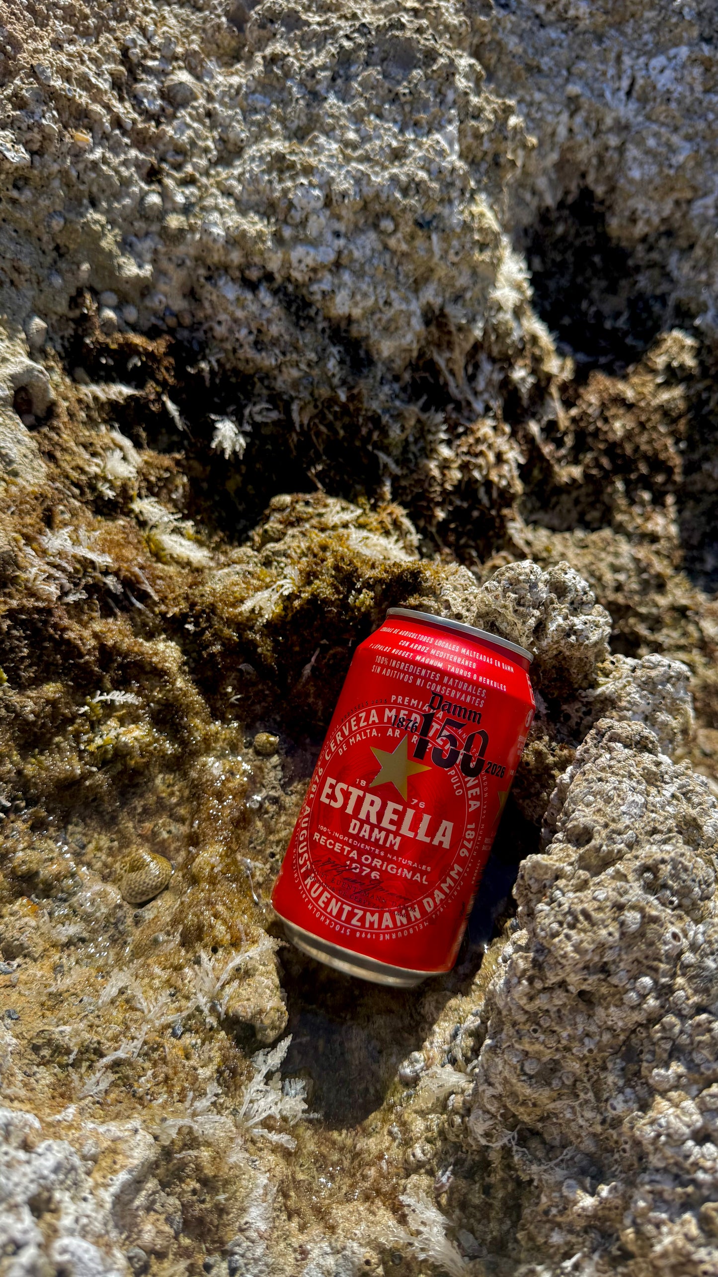 Estrella Damm 0,33l